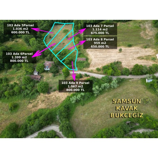 Samsun, Kavak, Bükceğiz, 103 Ada, 8 Parsel Samsun, Kavak, Bükceğiz, 103 Ada, 8 Parsel