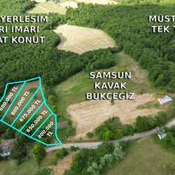Samsun, Kavak, Bükceğiz, 103 Ada, 9 Parsel Samsun, Kavak, Bükceğiz, 103 Ada, 9 Parsel