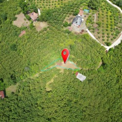 Samsun, Salıpazarı, Kuşcuğaz, 128 Ada, 13 Parsel