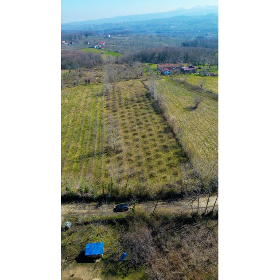 Samsun, Terme, Bazlamaç/Hacıali, 121 Ada, 4 Parsel, 2.500.000 TL Samsun, Terme, Bazlamaç/Hacıali, 121 Ada, 4 Parsel, 2.500.000 TL