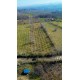Samsun, Terme, Bazlamaç/Hacıali, 121 Ada, 4 Parsel, 2.500.000 TL Samsun, Terme, Bazlamaç/Hacıali, 121 Ada, 4 Parsel, 2.500.000 TL