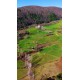 Sinop, Merkez, Kozcuğaz, 105 Ada, 211 Parsel, 1.750.000 TL