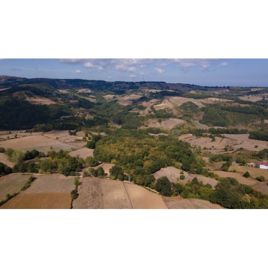 Sinop, Merkez, Taypaklı, 122 Ada, 79 Parsel, 1.750.000 TL