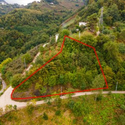 Trabzon, Çarşıbaşı, Büyükdere, 291 Ada, 1 Parsel