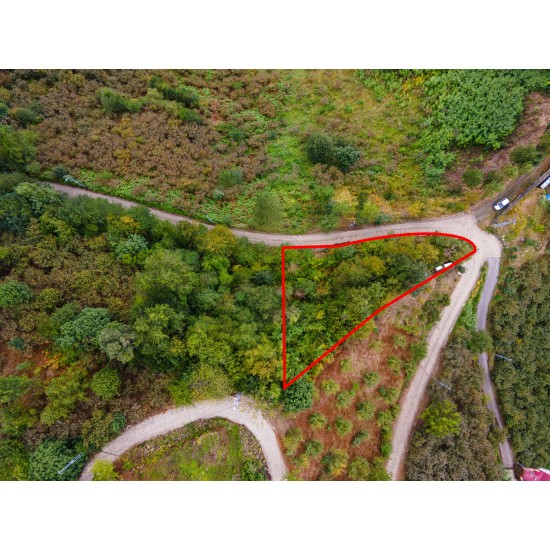 Trabzon, Çarşıbaşı, Büyükdere, 291 Ada, 1 Parsel