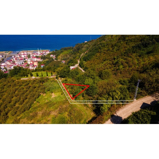 Trabzon, Çarşıbaşı, Büyükdere, 294 Ada, 25 Parsel, 525.000 TL