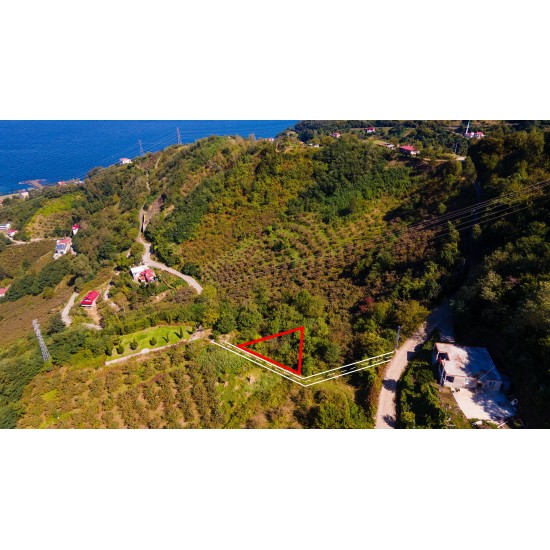 Trabzon, Çarşıbaşı, Büyükdere, 294 Ada, 25 Parsel, 525.000 TL