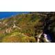 Trabzon, Çarşıbaşı, Büyükdere, 294 Ada, 25 Parsel, 525.000 TL