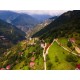 Trabzon, Çaykara, Çambaşı, 238 Ada, 11 Parsel, 600.000 TL