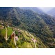 Trabzon, Çaykara, Çambaşı, 238 Ada, 11 Parsel, 600.000 TL