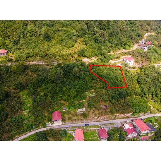Trabzon, Dernekpazarı, Çayırbaşı, 137 Ada, 31 Parsel, 650.000 TL