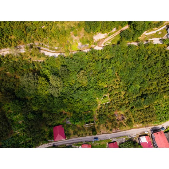 Trabzon, Dernekpazarı, Çayırbaşı, 137 Ada, 31 Parsel, 650.000 TL