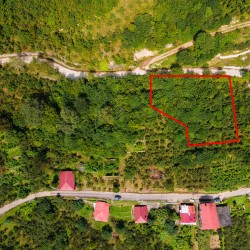 Trabzon, Dernekpazarı, Çayırbaşı, 137 Ada, 31 Parsel, 650.000 TL