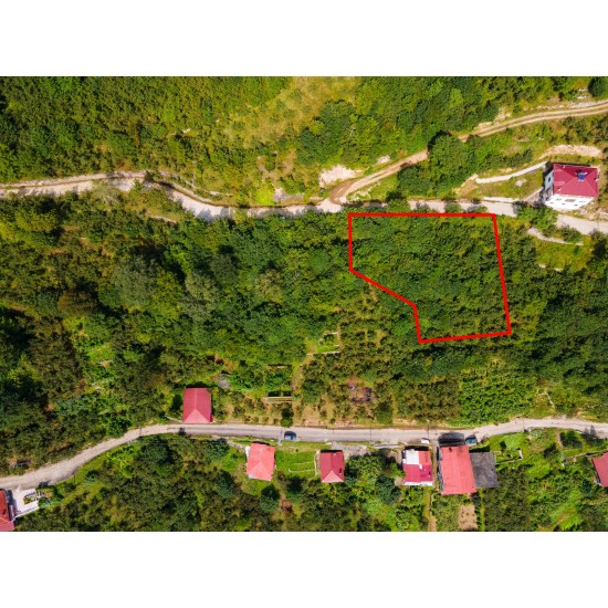 Trabzon, Dernekpazarı, Çayırbaşı, 137 Ada, 31 Parsel, 650.000 TL