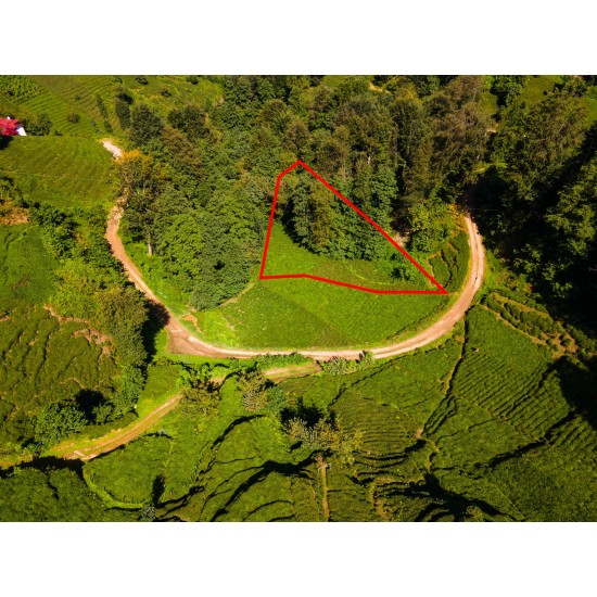 Trabzon, Hayrat, Yenimahalle, 716 Ada, 9 Parsel