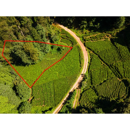 Trabzon, Hayrat, Yenimahalle, 716 Ada, 9 Parsel