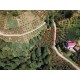 Trabzon, Vakfıkebir, Çavuşlu, 479 Ada, 4 Parsel, 390.000 TL