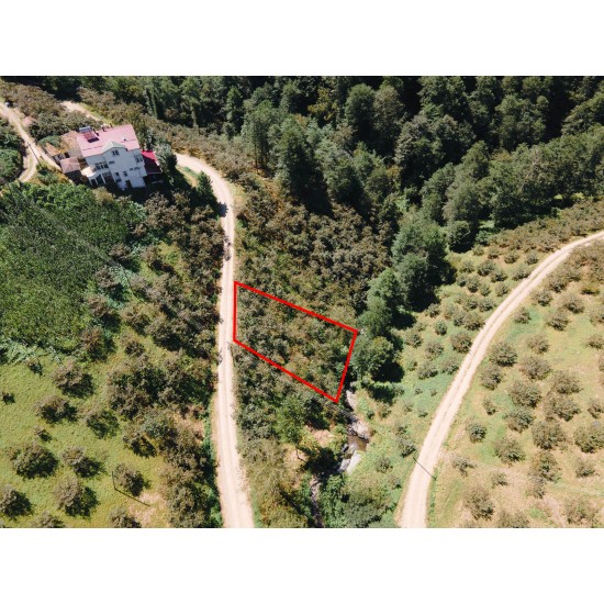 Trabzon, Vakfıkebir, Çavuşlu, 479 Ada, 4 Parsel, 390.000 TL