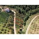 Trabzon, Vakfıkebir, Çavuşlu, 479 Ada, 4 Parsel, 390.000 TL