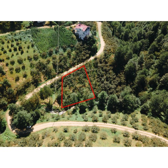 Trabzon, Vakfıkebir, Çavuşlu, 479 Ada, 4 Parsel, 390.000 TL
