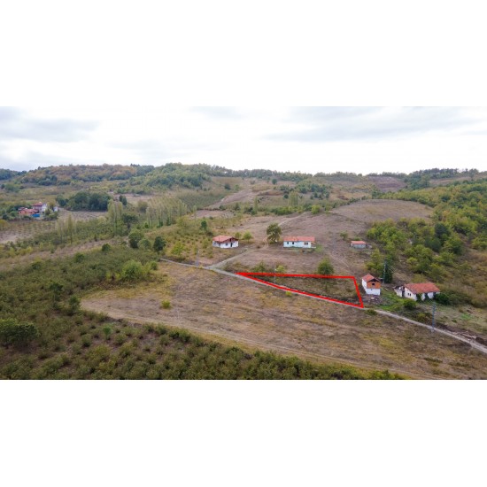 Zonguldak, Ereğli, Abdi, 102 Ada, 124 Parsel, 350.000 TL Zonguldak, Ereğli, Abdi, 102 Ada, 124 Parsel, 350.000 TL