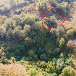 Zonguldak, Ereğli, Terzi, 121 Ada, 27 Parsel, 390.000 TL