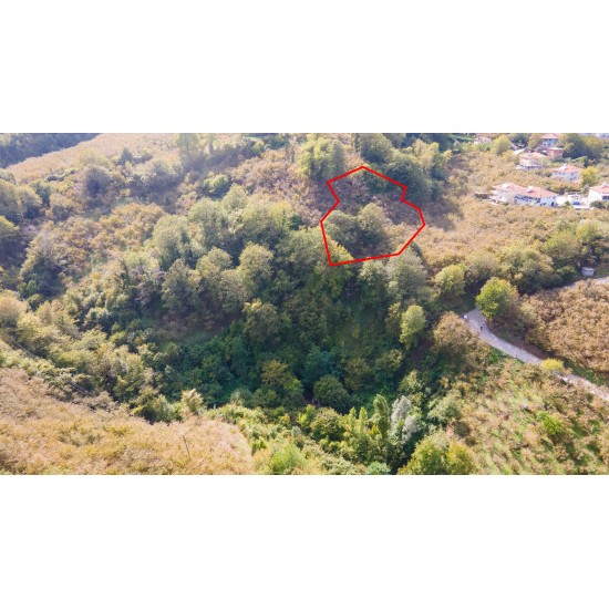 Zonguldak, Ereğli, Terzi, 121 Ada, 27 Parsel, 390.000 TL