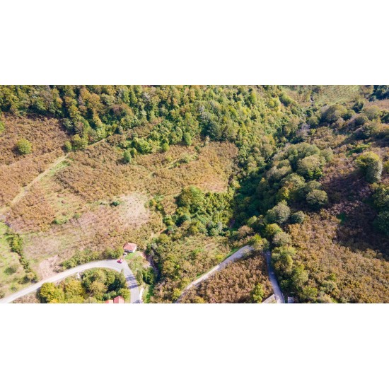 Zonguldak, Ereğli, Terzi, 121 Ada, 27 Parsel, 390.000 TL