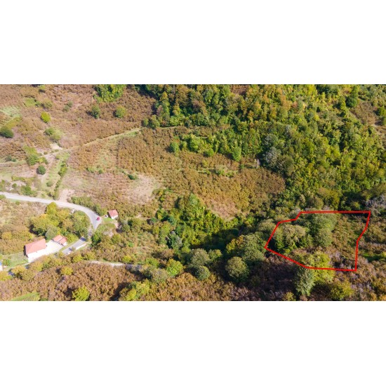 Zonguldak, Ereğli, Terzi, 121 Ada, 27 Parsel, 390.000 TL