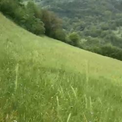 Bartın, Ulus, Buğurlar, 105 Ada, 38 Parsel, 1.000.000 TL Bartın, Ulus, Buğurlar, 105 Ada, 38 Parsel, 1.000.000 TL