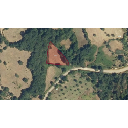 Çanakkale, Yenice, Güzeloba, 134 Ada, 7 Parsel Çanakkale, Yenice, Güzeloba, 134 Ada, 7 Parsel