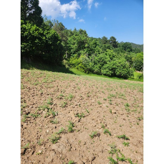 Çanakkale, Yenice, Güzeloba, 134 Ada, 4 Parsel, 575.000 TL