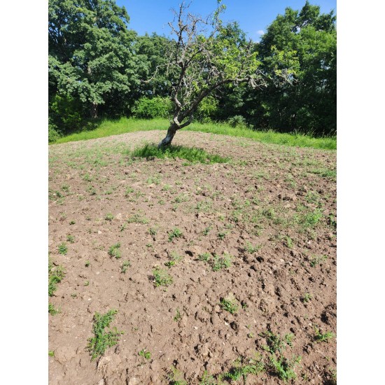 Çanakkale, Yenice, Güzeloba, 134 Ada, 4 Parsel, 575.000 TL