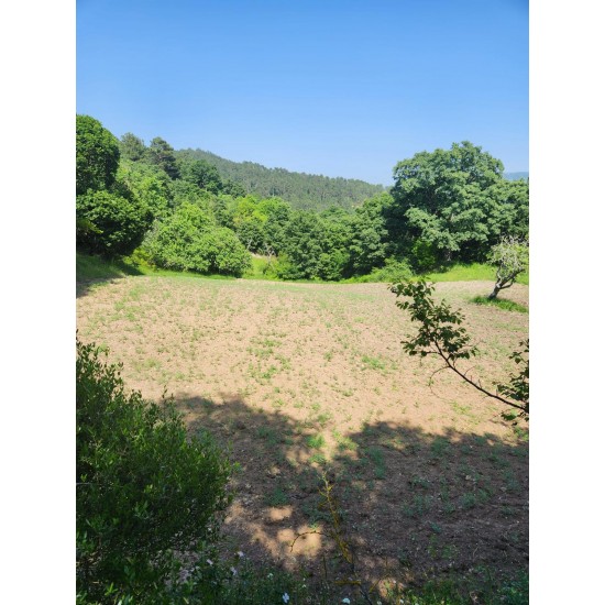 Çanakkale, Yenice, Güzeloba, 134 Ada, 4 Parsel, 575.000 TL