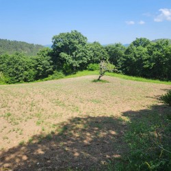 Çanakkale, Yenice, Güzeloba, 134 Ada, 4 Parsel, 750.000 TL Çanakkale, Yenice, Güzeloba, 134 Ada, 4 Parsel, 750.000 TL