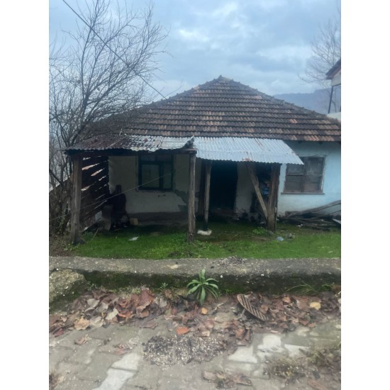 Düzce, Yığılca, Redifler, 148 Ada, 7 Parsel Düzce, Yığılca, Redifler, 148 Ada, 7 Parsel
