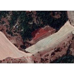 Edirne, İpsala, Korucu Köyü , 1281 Parsel Edirne, İpsala, Korucu Köyü , 1281 Parsel