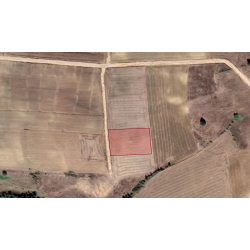 Edirne, Meriç, Akçadam, 214 Ada, 11 Parsel Edirne, Meriç, Akçadam, 214 Ada, 11 Parsel