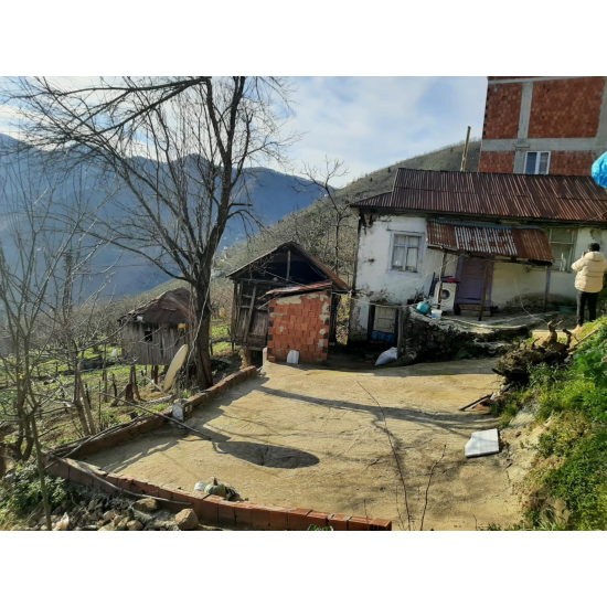 Giresun, Doğankent, Güdül, 147 Ada, 64 Parsel
