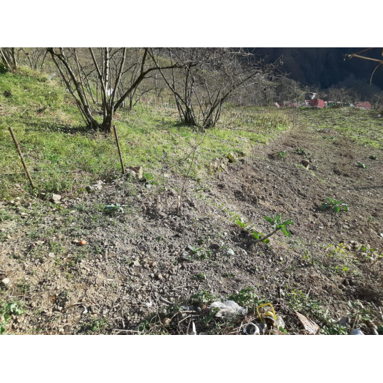 Giresun, Doğankent, Güdül, 147 Ada, 64 Parsel