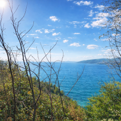 Giresun, Görele, İsmailbeyli, 105 Ada, 53 Parsel, 5.600.000 TL