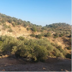 İzmir, Dikili, Kıratlı, 139 Ada, 24 Parsel, 1.200.000 TL İzmir, Dikili, Kıratlı, 139 Ada, 24 Parsel, 1.200.000 TL