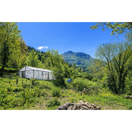 Kastamonu, Küre, Güllüce, 106 Ada, 6 Parsel, 390.000 TL