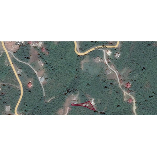Ordu, Gülyalı, Taşlıçay, 636 Ada, 2 Parsel