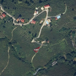 Ordu, Gülyalı, Anbarcılı, 381 Ada, 14 Parsel Ordu, Gülyalı, Anbarcılı, 381 Ada, 14 Parsel