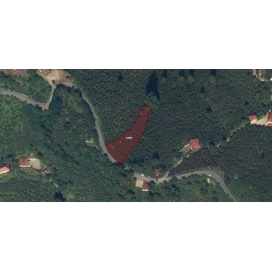 Ordu, Altınordu, Saraycık, 4934 Ada, 2 Parsel