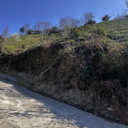 Rize, Ardeşen, Yavuz, 201 Ada, 21 Parsel Rize, Ardeşen, Yavuz, 201 Ada, 21 Parsel