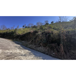 Rize, Ardeşen, Yavuz, 201 Ada, 21 Parsel Rize, Ardeşen, Yavuz, 201 Ada, 21 Parsel