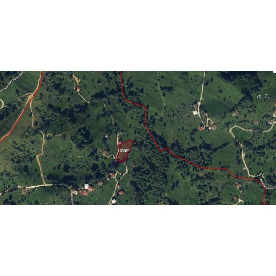 Rize, Merkez, Selimiye, 113 Ada, 7 Parsel