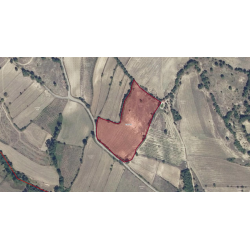 Samsun, Asarcık, Akyazı, 238 Ada, 43 Parsel Samsun, Asarcık, Akyazı, 238 Ada, 43 Parsel